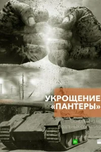 Укрощение «Пантеры» (2025) постер